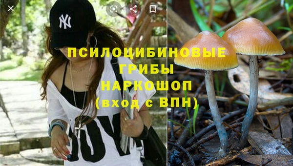 mdma Каменка