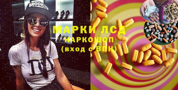 мдпв Инта