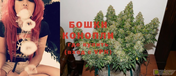ГАЛЛЮЦИНОГЕННЫЕ ГРИБЫ Карпинск