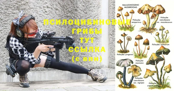 a pvp Каменск-Шахтинский