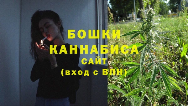 ГАЛЛЮЦИНОГЕННЫЕ ГРИБЫ Карпинск